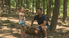 Houbaři mají žně! Kvůli plnému košíku je ale třeba si pořádně přivstat