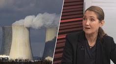 Svárovská: Dostavba Dukovan levnější elektřinu nezajistí. Jaderná energetika je v krizi