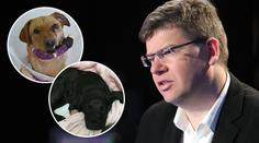 Pospíšil o trestech pro tyrany zvířat: "Mají být souzeni natvrdo."