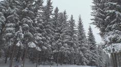 Česko zasypal sníh. Počasí už vylákalo na hory první lyžaře