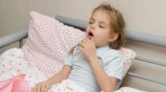 Českem se masivně šíří plicní bakterie. Jde o velký problém, říká epidemiolog
