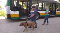 V Liberci soutěžili vodicí psi. Museli najít přechod nebo volné místo v autobusu
