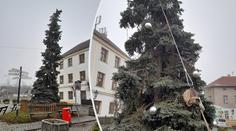 Podívejte se na nejošklivější vánoční strom v republice. Hrůza z jehličí!