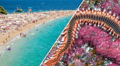 Chorvatsko dál děsí ohniví červi! Místní se jich bojí, turisté nic neřeší