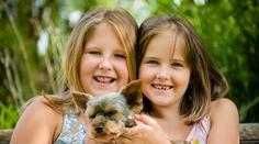 Pořídili jste dítěti domácí zvíře? Bude z něj vegetarián, tvrdí studie