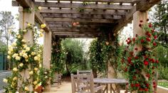 Pergola - kouzelná oáza klidu, která zkrášlí váš dům i zahradu
