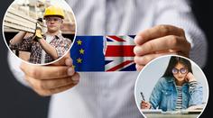 Co znamená brexit pro Čechy? Do konce roku klid, pak vyřizování