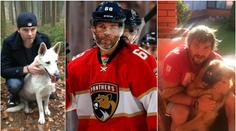 Jaký pán, takový pes? Roztomilí mazlíčci hvězd NHL! GALERIE