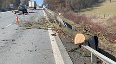 Dělník řezal porost u D1, spadl na něj strom. Letěl pro něj vrtulník