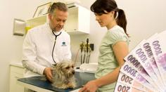 Lidé investují do veterinární péče nemalé peníze
