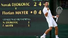 Semifinále Wimbledonu ŽIVĚ. Sledujte bitvu Djokoviče s Federerem