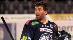 Bílí Tygři v ohrožení! Znamenal by sestup přesun do KHL?