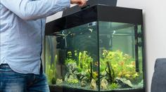 Kuriózní zásah záchranářů v Hradci. Rodina se otrávila při čištění akvária