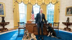Bidenovi ovčáci pokousali člena ochranky! Museli pryč z Bílého domu