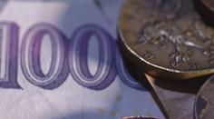 Koruna se krátce dostala k euru pod hranici 25 korun, poprvé od začátku epidemie