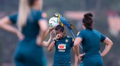Nečekaná návštěva: trénink brazilské reprezentace přerušil papoušek