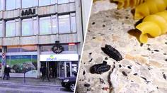 V Albertu zasahovala inspekce. Kvůli hlodavcům mu zavřela sklad