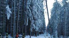Na lanovku na Kleť u Krumlova se zřítil strom. Turista popsal děsivé chvíle