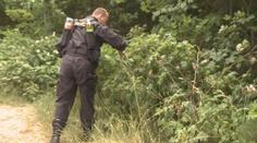 Elišku (20) už hledají přes měsíc. Rodina ani policie stále nemají stopu