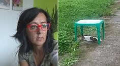 Zpověď majitelky zabité čivavy: Pomstil se na nevinném!