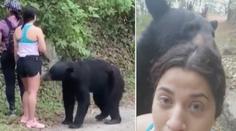 Divoký medvěd si přišel očichat ženu, ta necouvla a udělala si s ním selfie