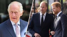 William a Harry ranili krále Karla. Měl na ně srdceryvnou prosbu