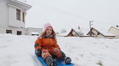 Češi zoufale shání boby! Tady jsou obchody, kde je mají! PŘEHLED