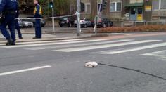 Ozbrojený lupič přepadl banku, při útěku s penězi ho srazilo auto!