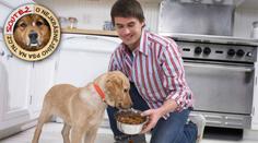 10 NEJVĚTŠÍCH CHYB při krmení vašeho psa! Pozor, ať ho nakonec nezabijete!
