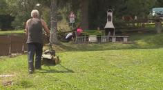 Kvůli suchu přestanou některá města sekat trávu. Alergici zuří