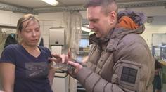 V jihlavské zoo probíhalo vyšetření krokodýlů. Pomáhal i reportér TV Nova