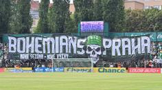 Trávník v Ďolíčku napadla plíseň. Bohemians přiznali chybu, mluví o ostudě