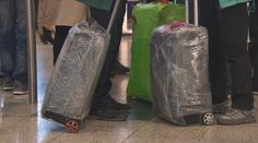 Zpackaná dovolená. Češi měli kvůli chybě prodejce z Egypta odletět o tři dny dříve