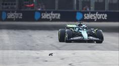 Chaos při tréninku Formule 1. Po trati se mezi monoposty proháněl varan