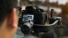 Brali psy z útulku a točili s nimi porno! Soud jim dal jen podmínku