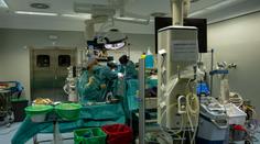 Američtí lékaři transplantovali umírajícímu pacientovi prasečí srdce