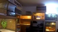 Policie zažila šok při protidrogové razii! Dům byl plný hadů