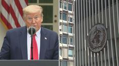 Trump pozastavil financování WHO. "Obětí mohlo být mnohem méně," tvrdí