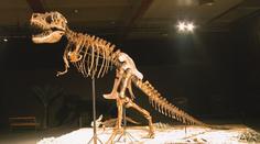 Obří dinosauři dorazili do Prahy