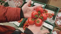 Kontrola potravin v Turnově: Obchody ve městě by mohly jít příkladem