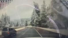 VIDEO: Řidič o vlásek unikl smrti. Jeho vůz jen těsně minul padající strom