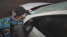Do Česka přišly mrazy. Tuhá zima nás ale zatím nečeká