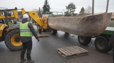 Replika starověkého člunu je ve Všestarech. Váží přes tunu a měří devět metrů