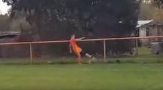 Fotbalista při zápase zabil nebohé zvíře. Stačil mu jediný kop