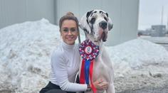 Paní Janě se ztratila 70kilová doga Otík. Zoufalá majitelka nabízí tučnou odměnu