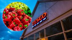 Tesco nechce české papriky, zlobí se zemědělci! Jsou shnilé, brání se řetězec