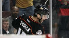 Dvořák bude bojovat o smlouvu v Carolině. Naskočí do 18. sezony v NHL?