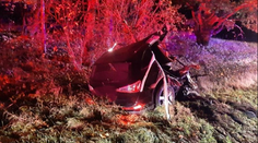 Tragická nehoda na jihu Čech. Náraz do stromu roztrhl auto vejpůl, řidič nepřežil