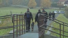 Řidič auta se ukryl v kukuřičném poli. Policejní pes ho ale našel