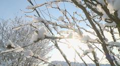 Mráz láká bruslaře na led, hory se zaplnily běžkaři! V noci má být -18 °C